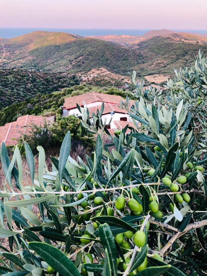 Trasicca B&B Brunella Buitenkant foto